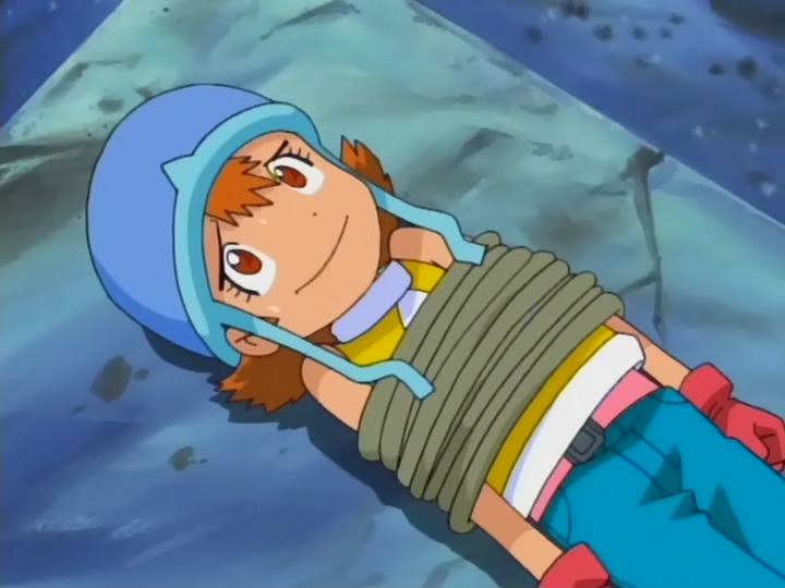 Digimon adventure (Raccon)