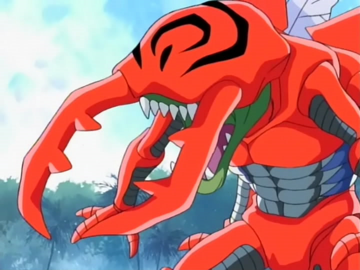 Digimon adventure (Raccon)