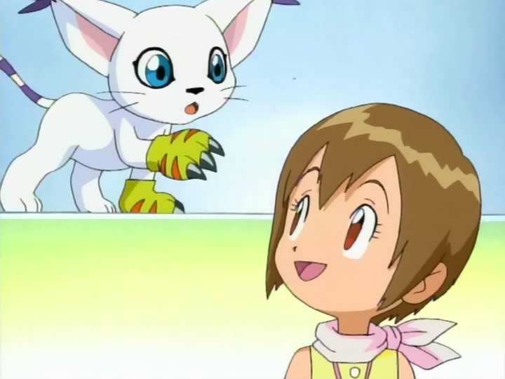 Digimon adventure (Raccon)