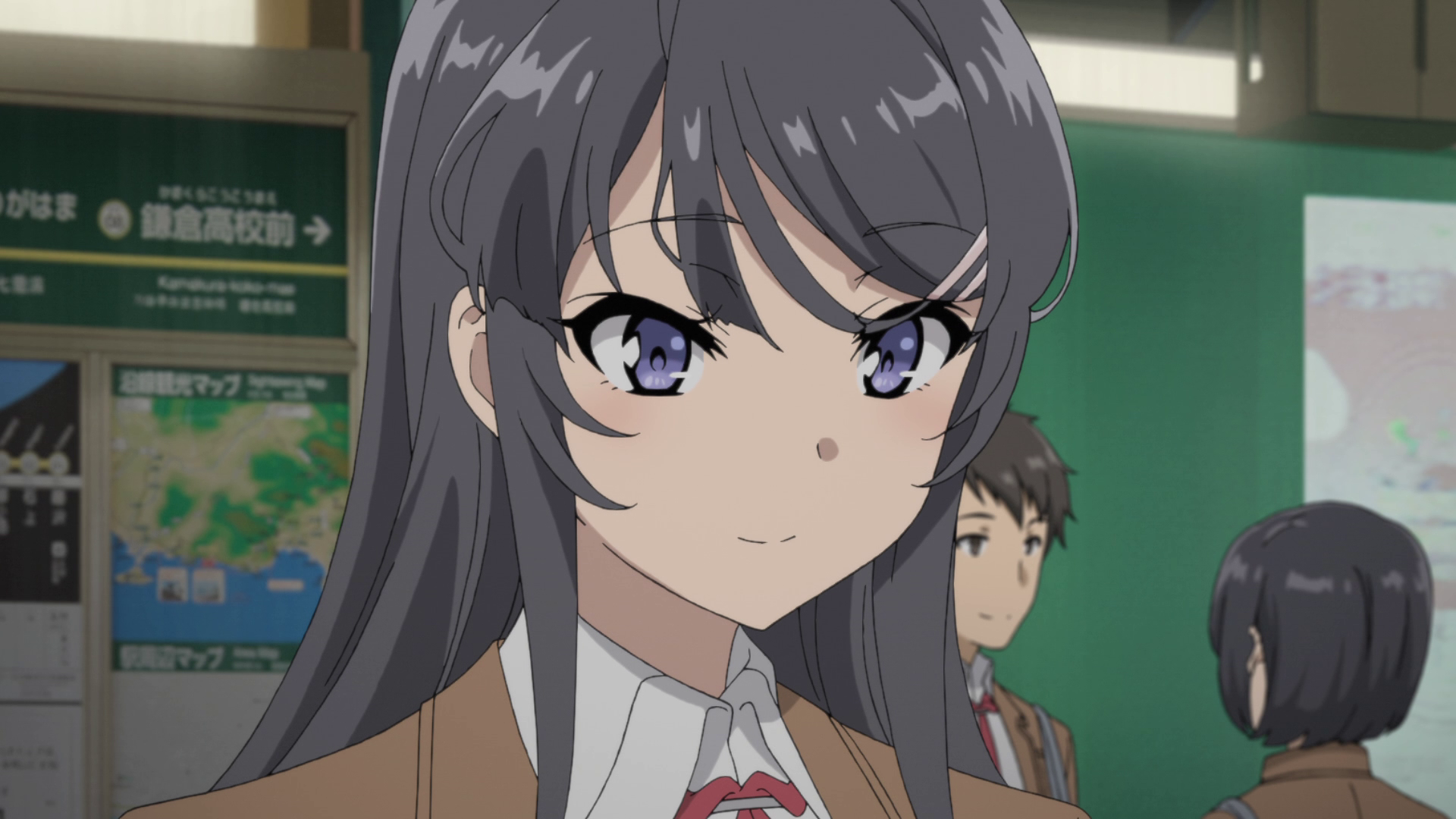 Seishun Buta Yarou wa Bunny Girl Senpai no Yume wo Minai (Puyasubs!)