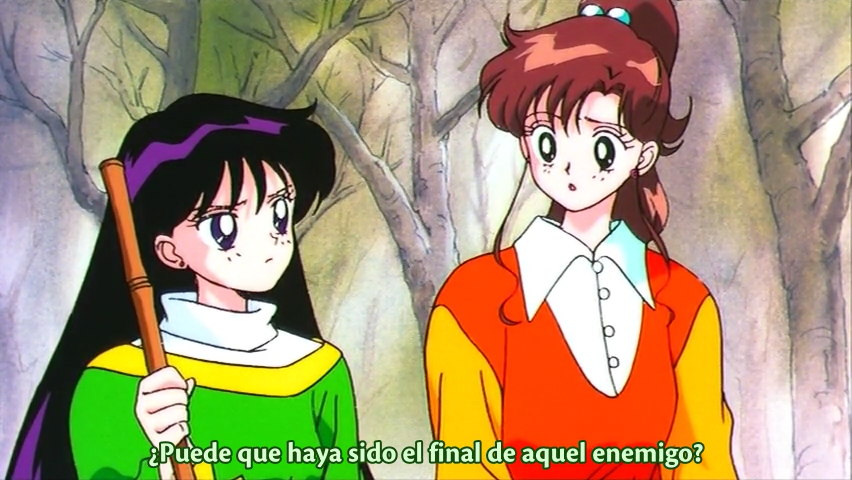 Bishoujo Senshi Sailor Moon S: Kaguya Hime no Koibito (El Mejor Anime Fansub)