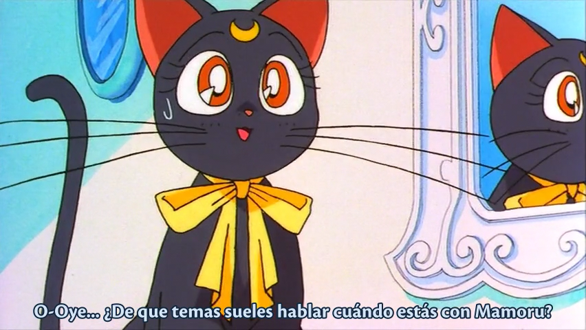 Bishoujo Senshi Sailor Moon S: Kaguya Hime no Koibito (El Mejor Anime Fansub)