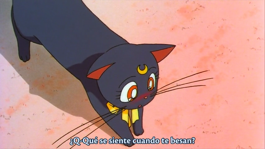 Bishoujo Senshi Sailor Moon S: Kaguya Hime no Koibito (El Mejor Anime Fansub)