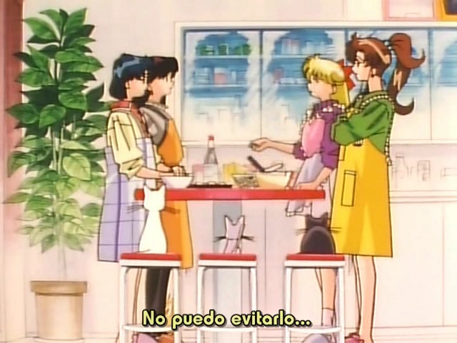 Bishoujo Senshi Sailor Moon Super S - Sailor 9 Senshi Shuuketsu! Black-Dream-Hole no Kiseki (Mahou Anime Digital)