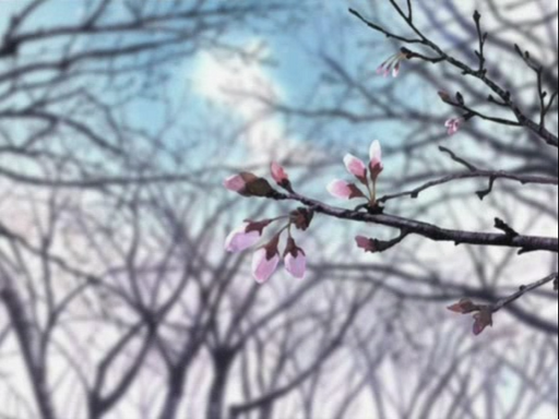 Love Hina: Especial primavera - Que no caiga la flor del cerezo (Astroteam Release Group)