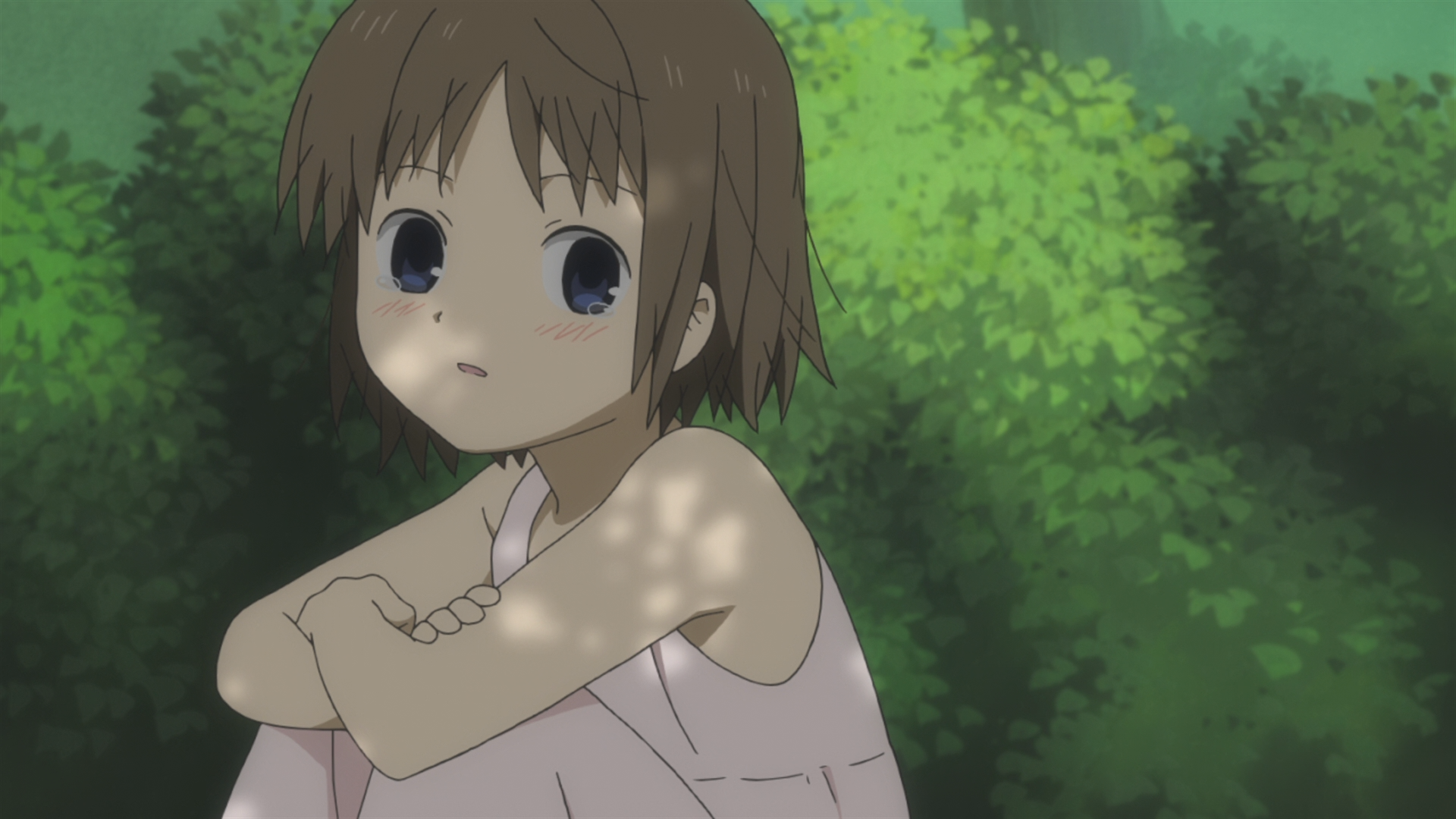 Hotarubi no Mori e (Senzou no Fansub)