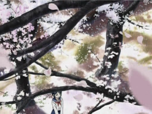 Love Hina: Especial primavera - Que no caiga la flor del cerezo (Astroteam Release Group)