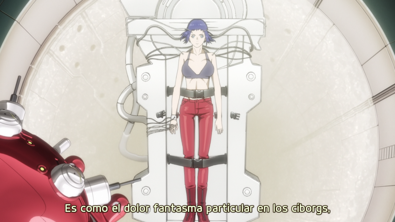 Ghost in the Shell: Arise (Hagure)