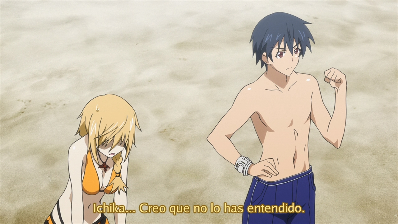 IS: Infinite Stratos (Ñyuum)