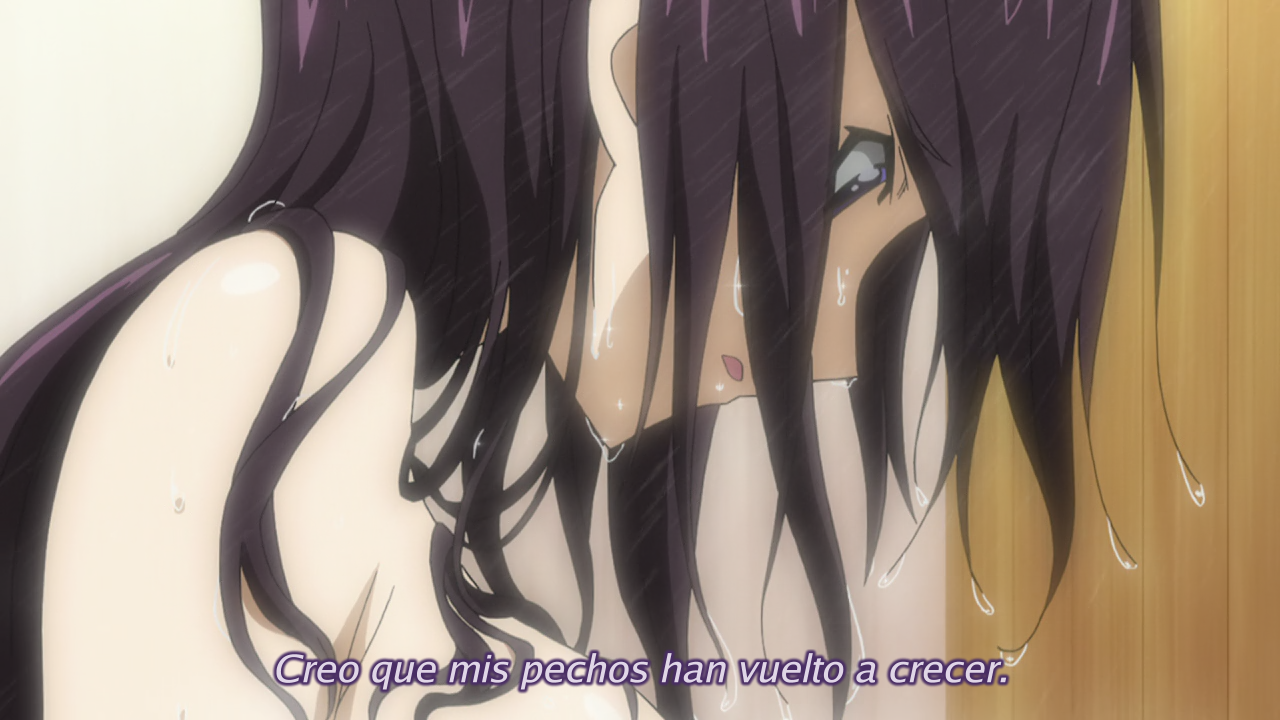 IS: Infinite Stratos 2 (Ñyuum)