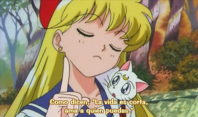 Bishoujo Senshi Sailor Moon Super S - Sailor 9 Senshi Shuuketsu! Black-Dream-Hole no Kiseki (Mahou Anime Digital)