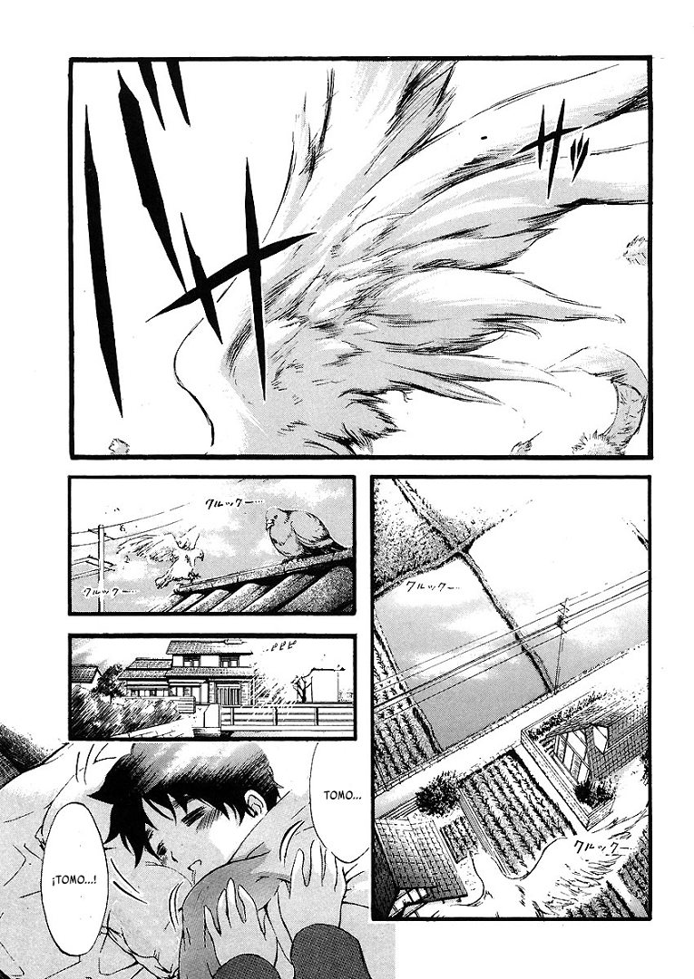 Sora no Otoshimono (Backbeard)