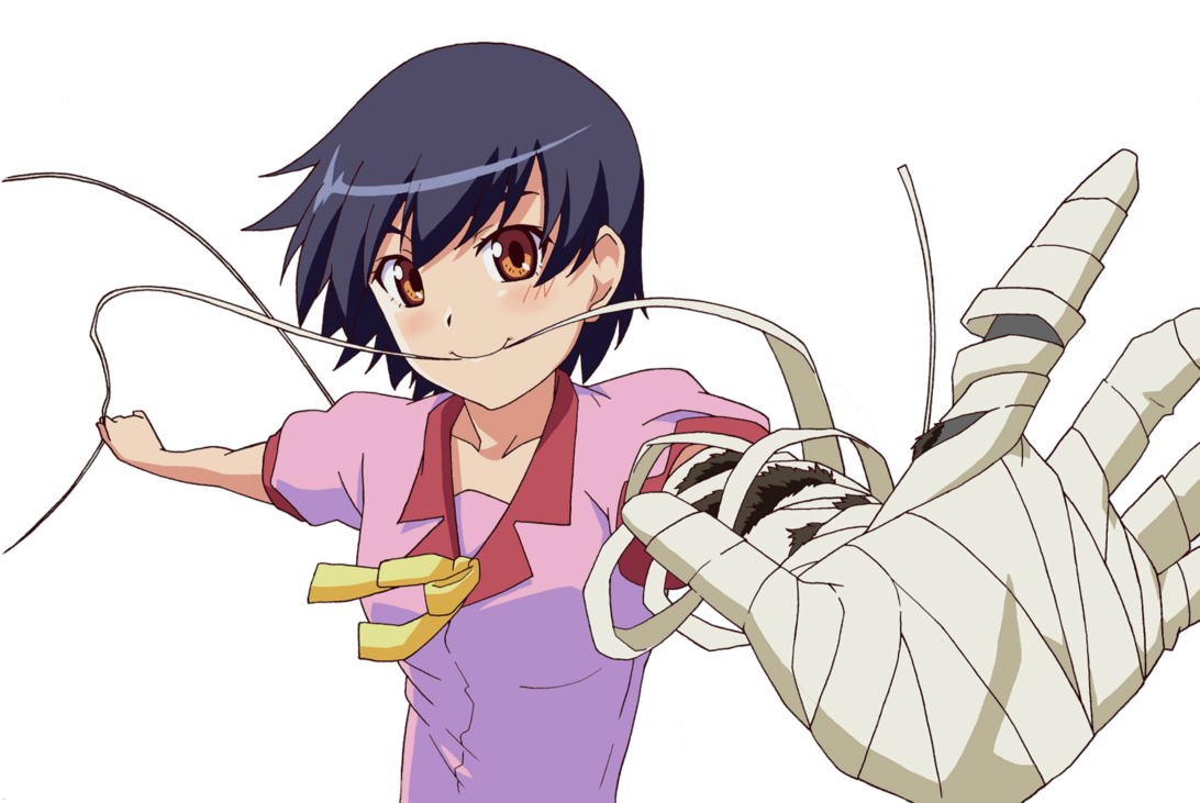 Hanamonogatari (Puya)