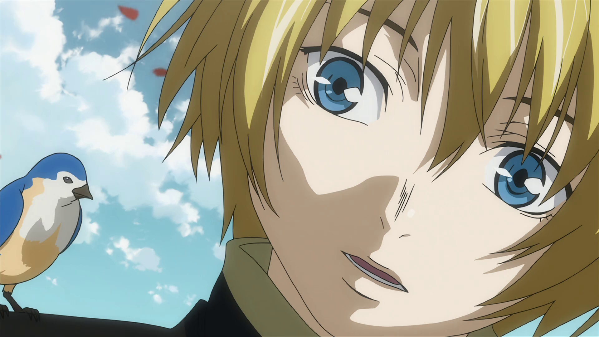 Saint Seiya - Lost Canvas (AnimeHD)