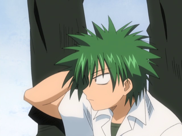 La Ley de Ueki (Animelliure)