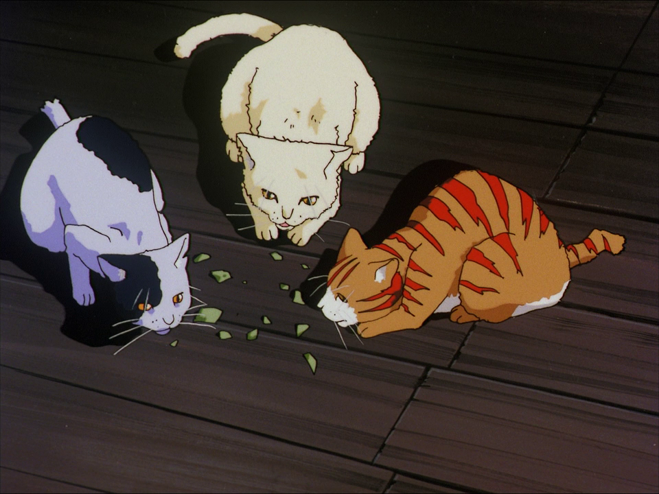 A Kite (Tatsuhiro Satou)