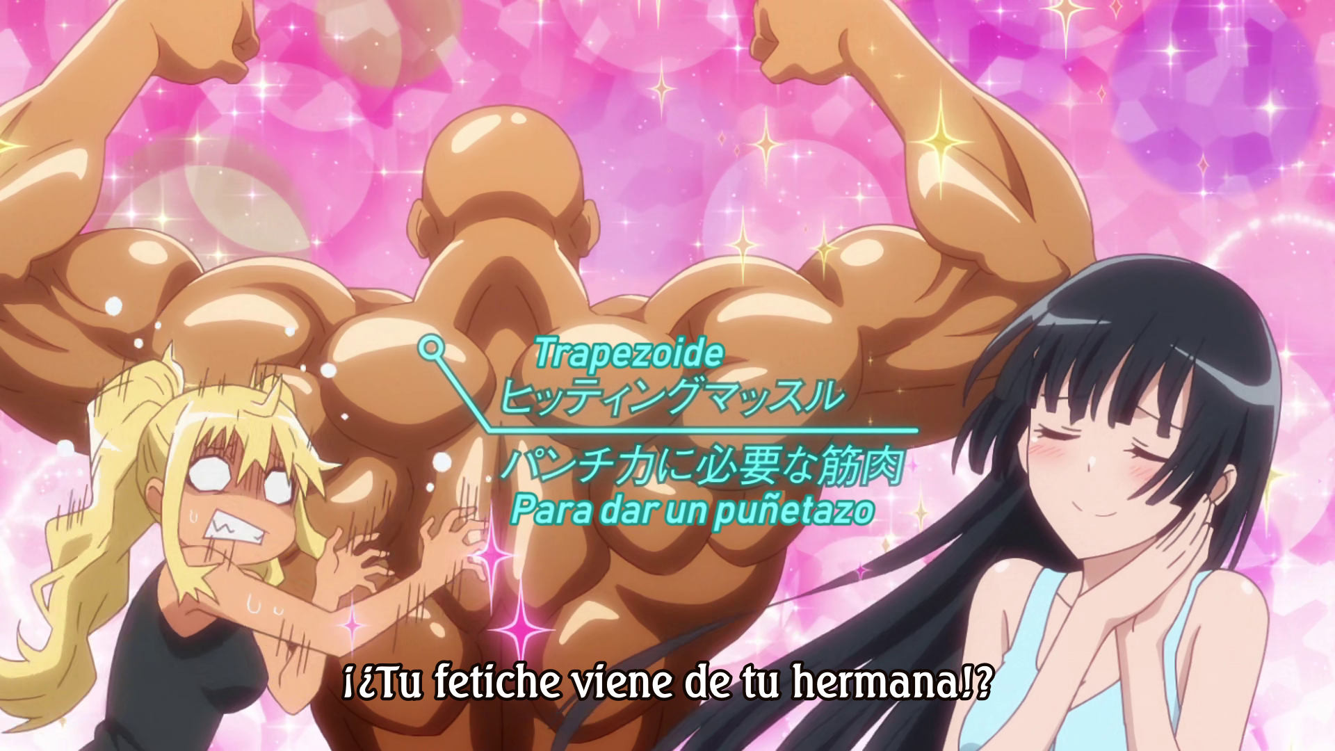 Dumbbell Nan-Kilo Moteru? (Seinen no Fansub)