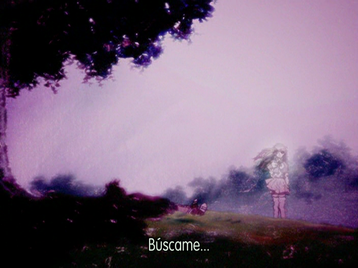 Candidate for Goddess OVA (Fansubber) (Fansubber)