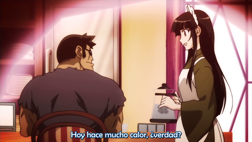 Natsu no Arashi! Akinaichuu (Anacrónico Fansub)