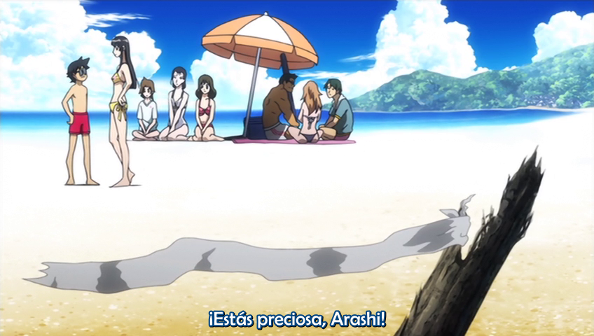 Natsu no Arashi! Akinaichuu (Anacrónico Fansub)