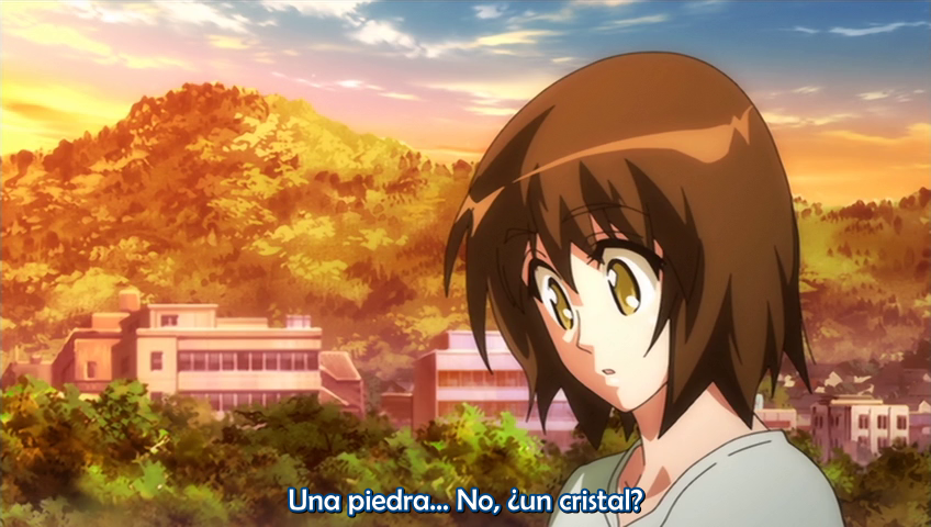 Natsu no Arashi! Akinaichuu (Anacrónico Fansub)