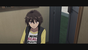 Erai-raws: Fuuto Tantei Movie: Kamen Rider Skull no Shouzou