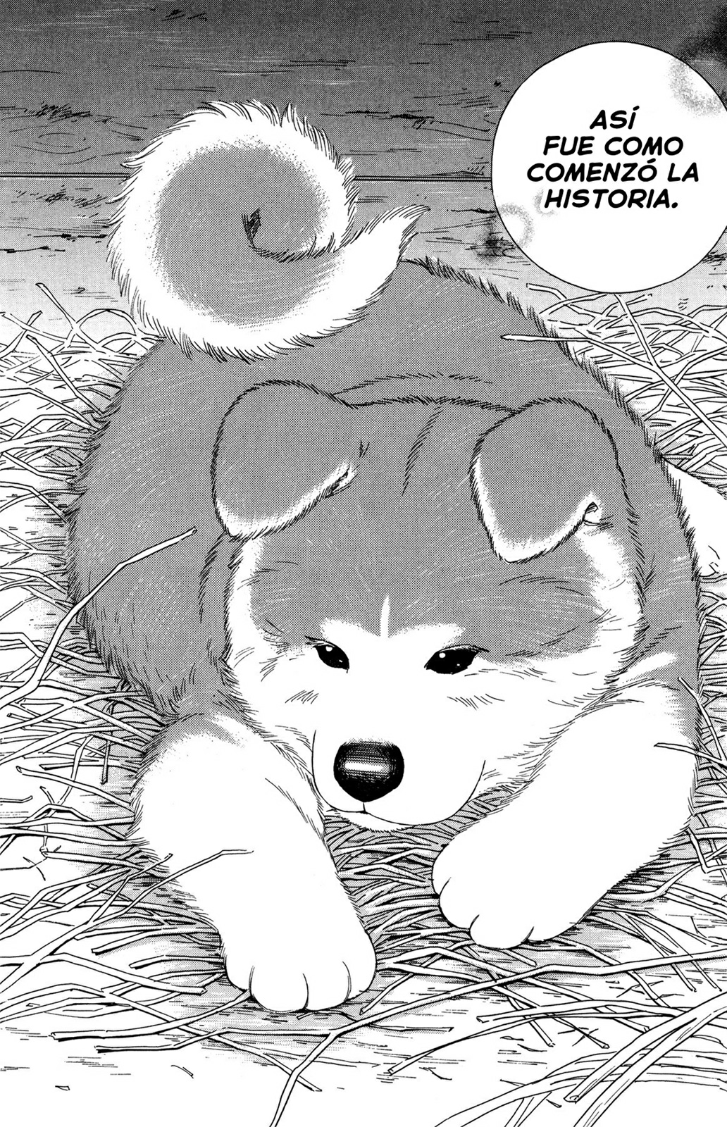 Hachi - Yakusoku no Inu (All New Infinity)