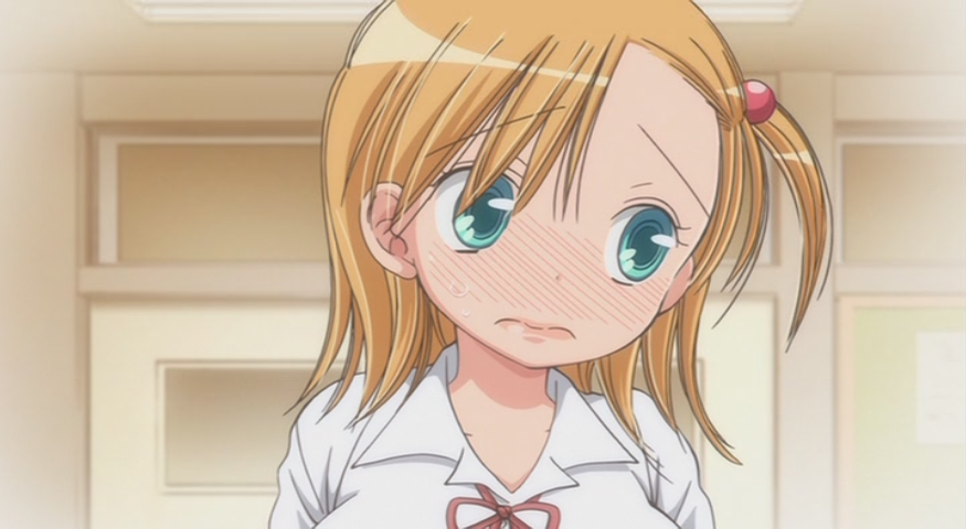 Houkago Nyannyan (Tret)