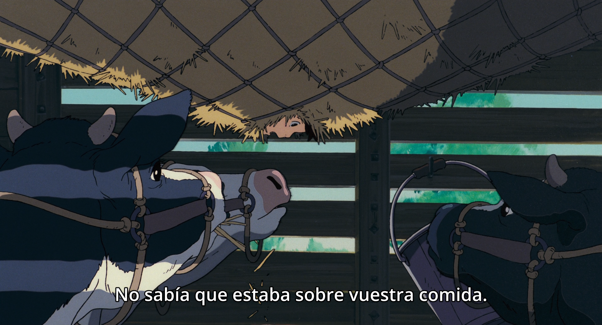 Nicky, la aprendiz de bruja (poxitron)