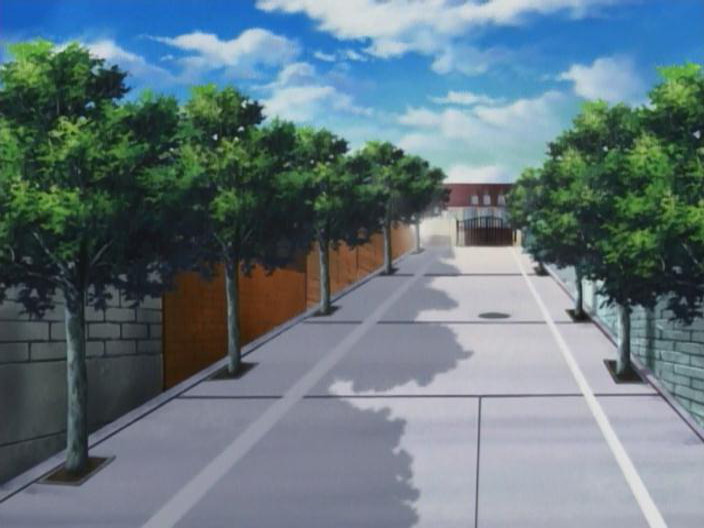 La viuda cachonda (Animex)