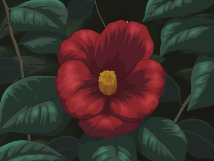 Kao no nai Tsuki (Animex)