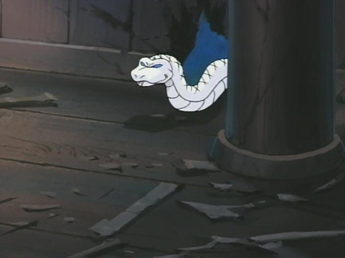 El puño de la estrella del sut (Animex)