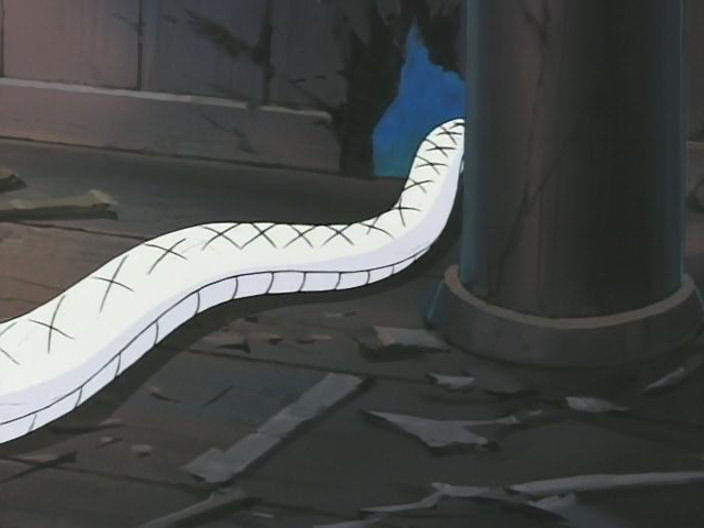 El puño de la estrella del sut (Animex)