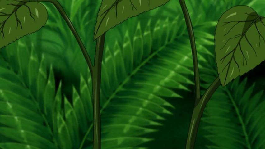 15 bishoujo (Animex)