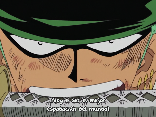 One Piece (Shichibukai)