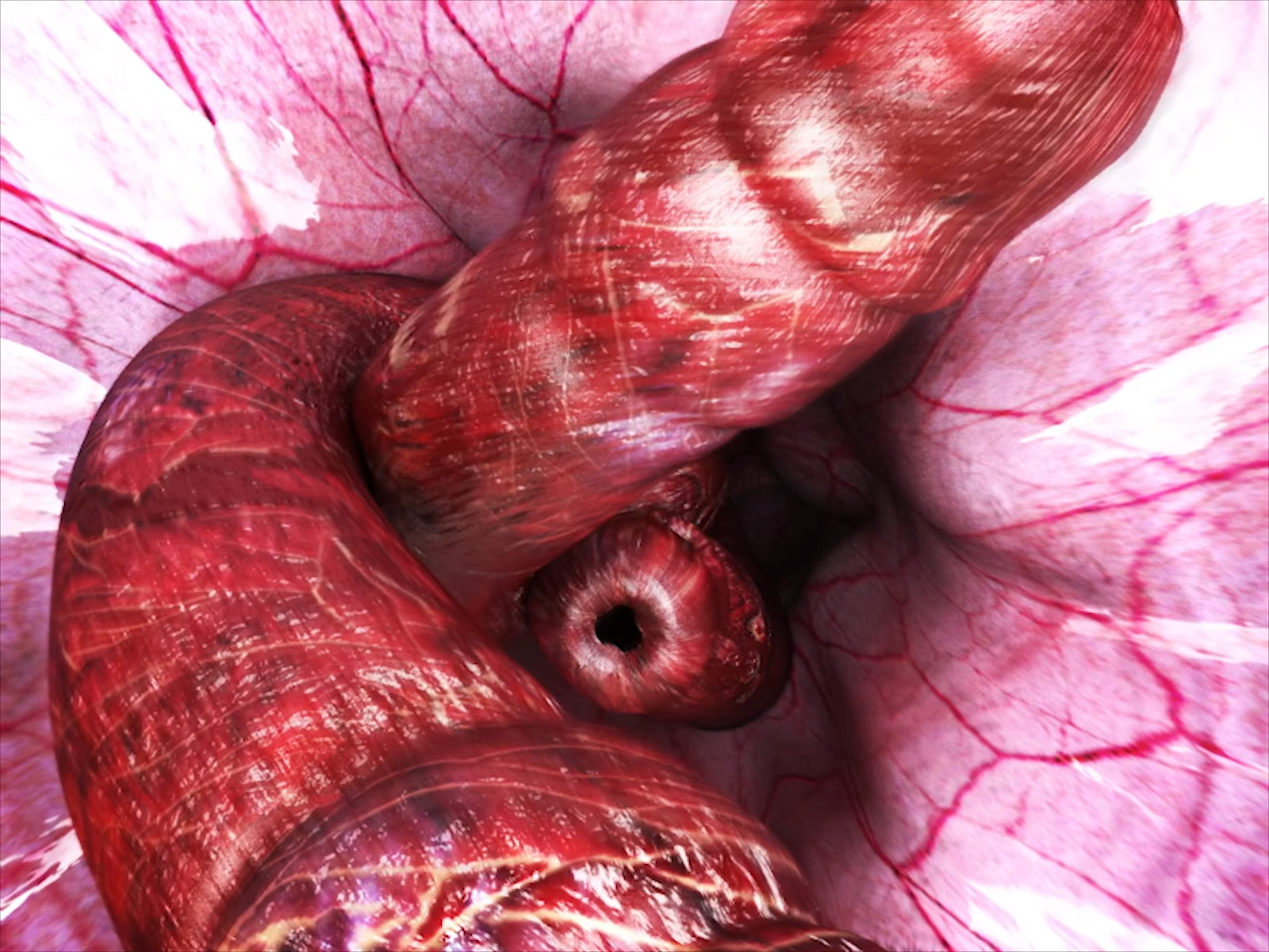 - little ballerina - HINA BITCH! 2 EX (Raw)