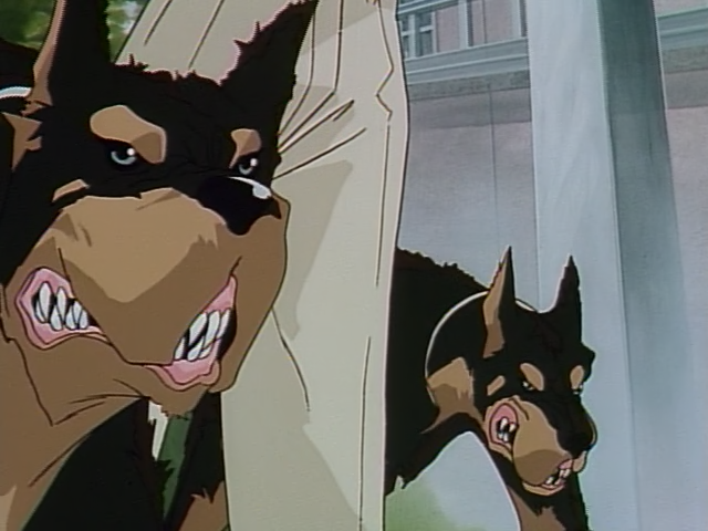 Escuela de verano (7R37)