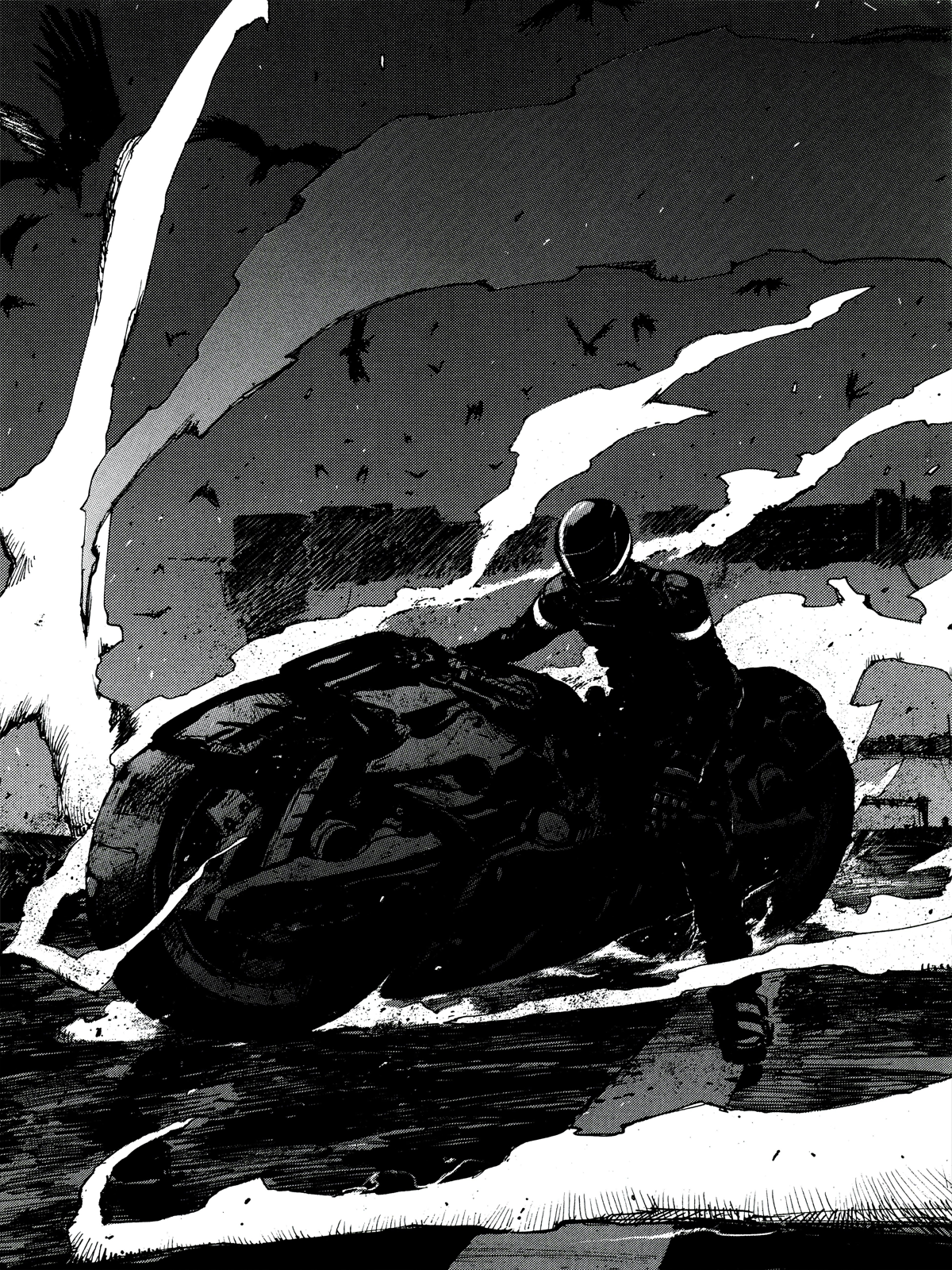 Biomega (Comic Release Group)