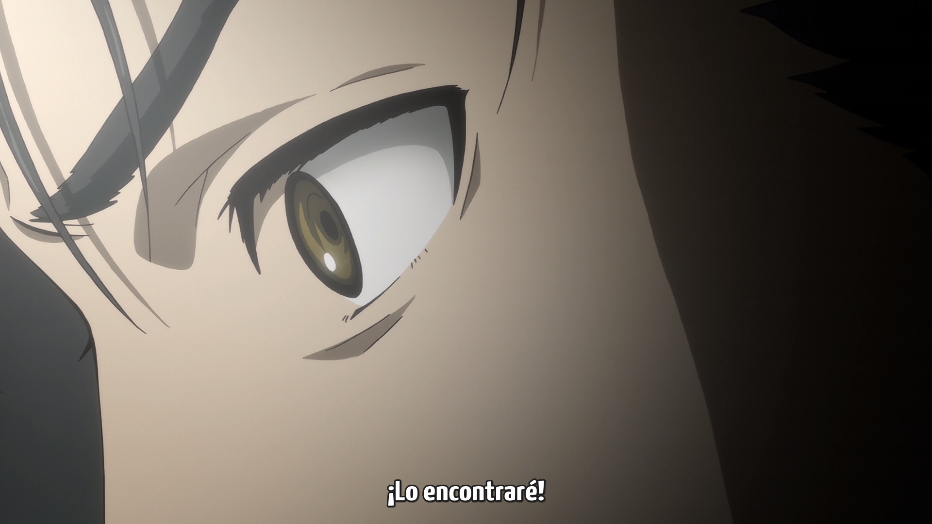 Steins;Gate: Fuka Ryouiki no Déjà vu (Friki no Fansub)