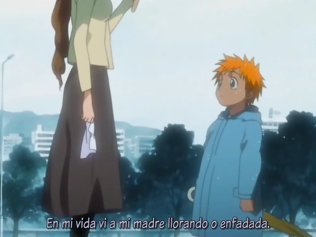 Bleach: Memories in the Rain (Frozen Layer Fansub)