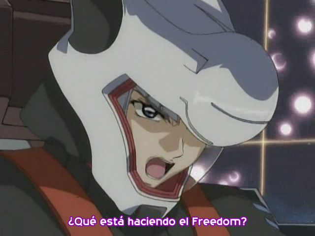 Mobile Suit Gundam SEED DESTINY Final Plus: The Chosen Future (Anime Underground)