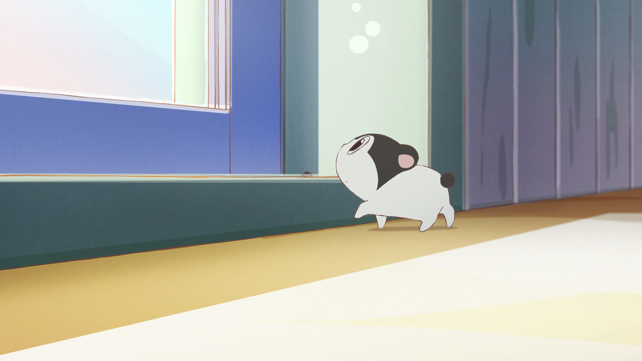 Baja no Studio (Hoshizora)