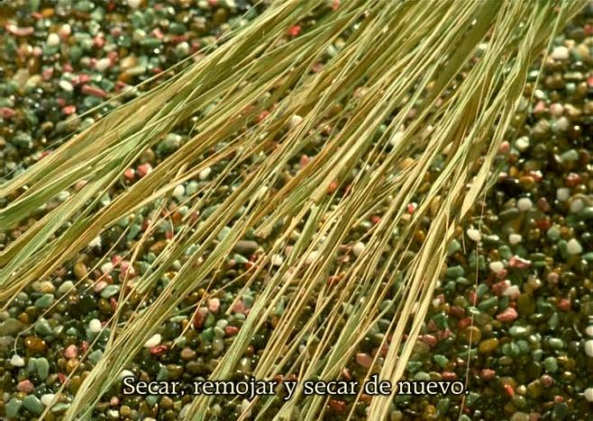 Shisha no Sho (Lateralus-Manga)