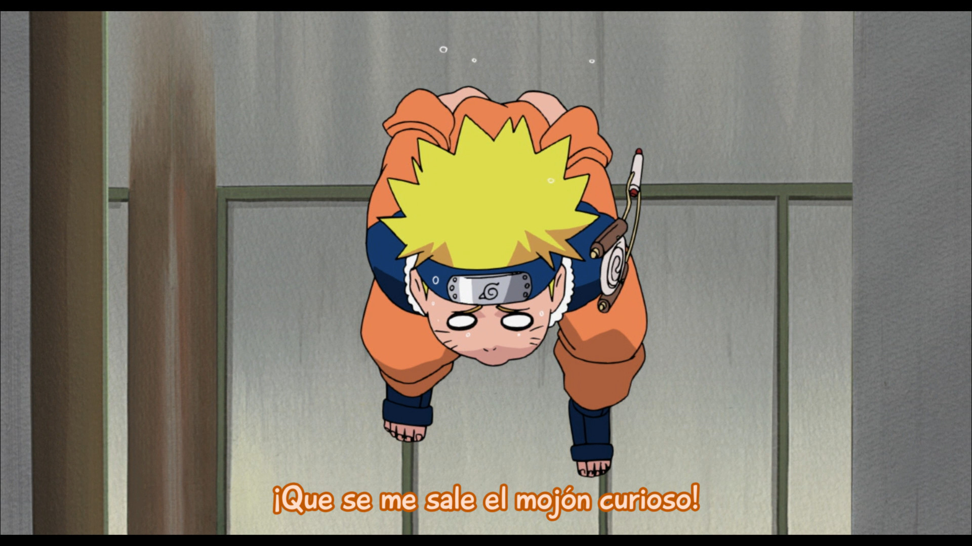 Naruto la Película: ¡El Rescate de la Princesa de la Nieve! (Ryuichi)