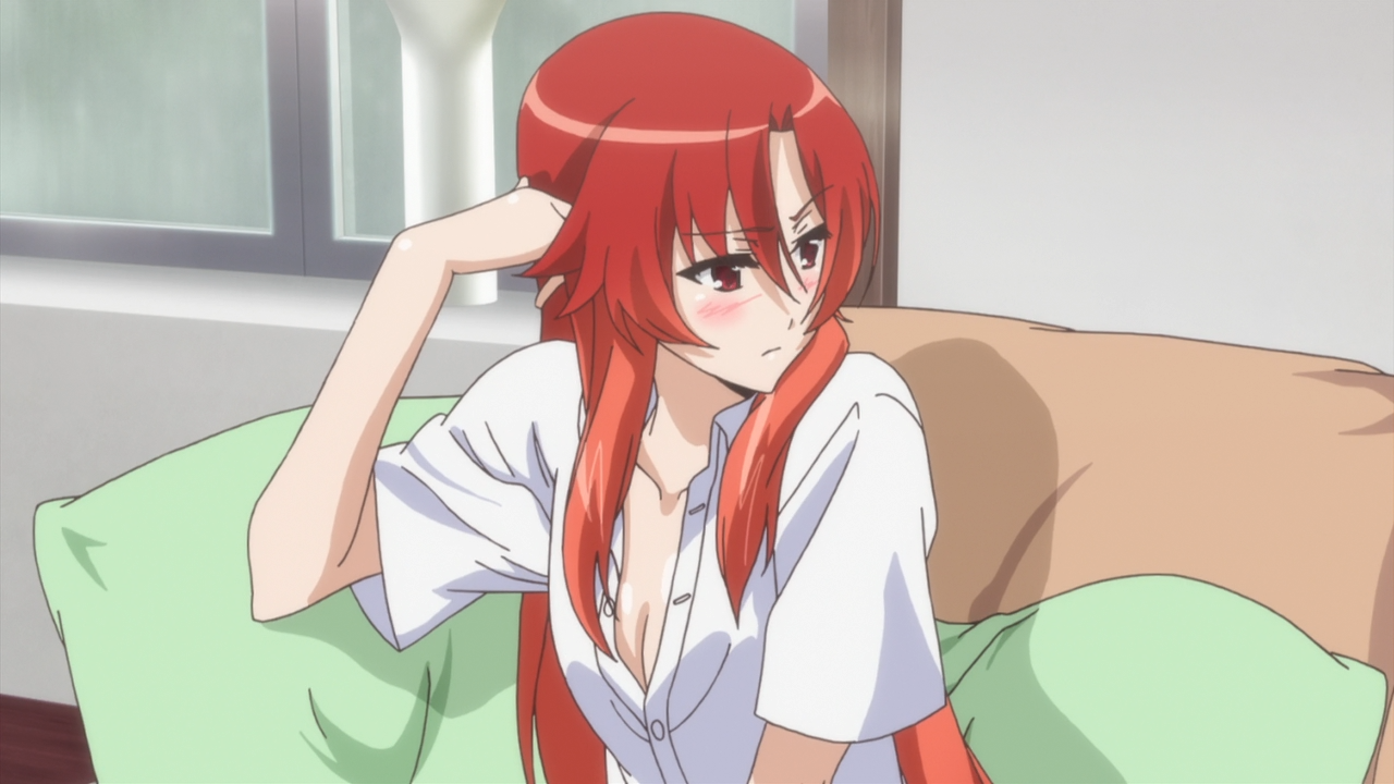 Dakara Boku wa, H ga Dekinai (Homika Subs)