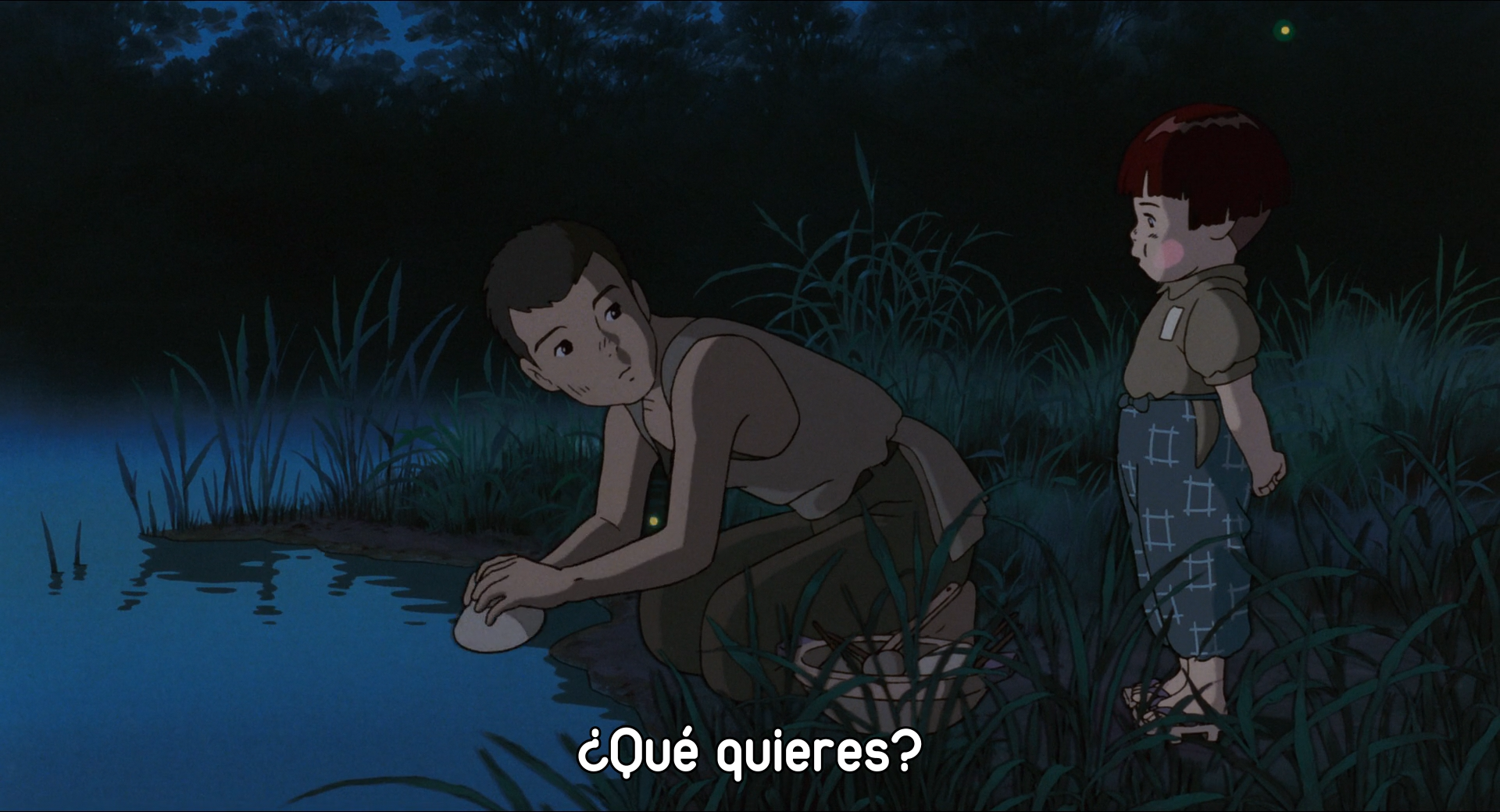 La tumba de las luciérnagas (EvoShare)