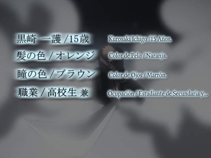 Bleach (Shinsou Fansub, Zenryoku Fansub)