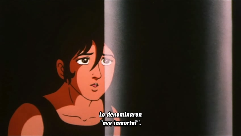 Hi no Tori 2772: Ai no CosmoZone (?)