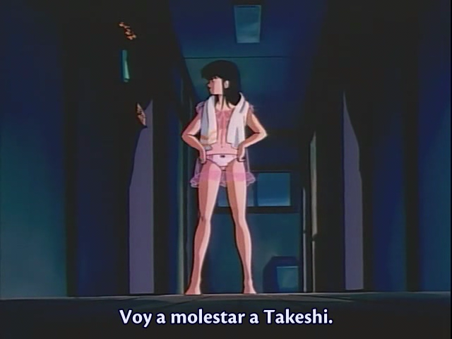 The Samurai (AniMugen Fansub)