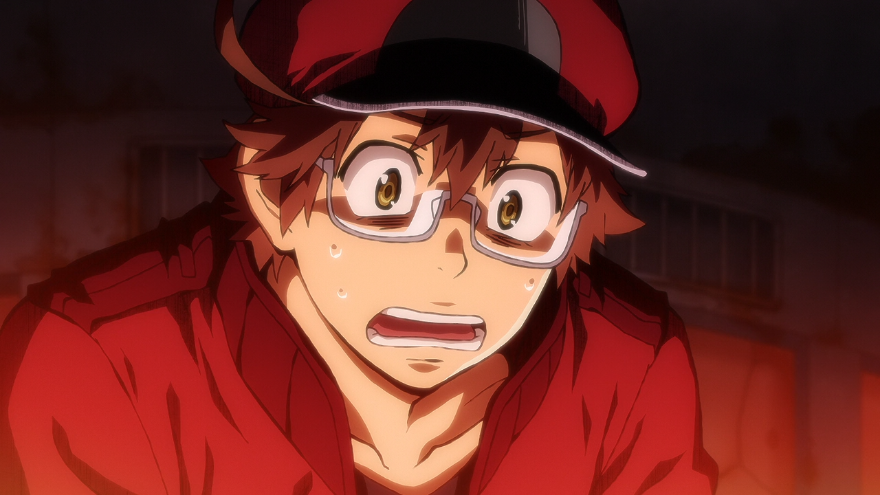 Hataraku Saibou Black (TV) (Anarchy Subs,Seinen no Fansub)